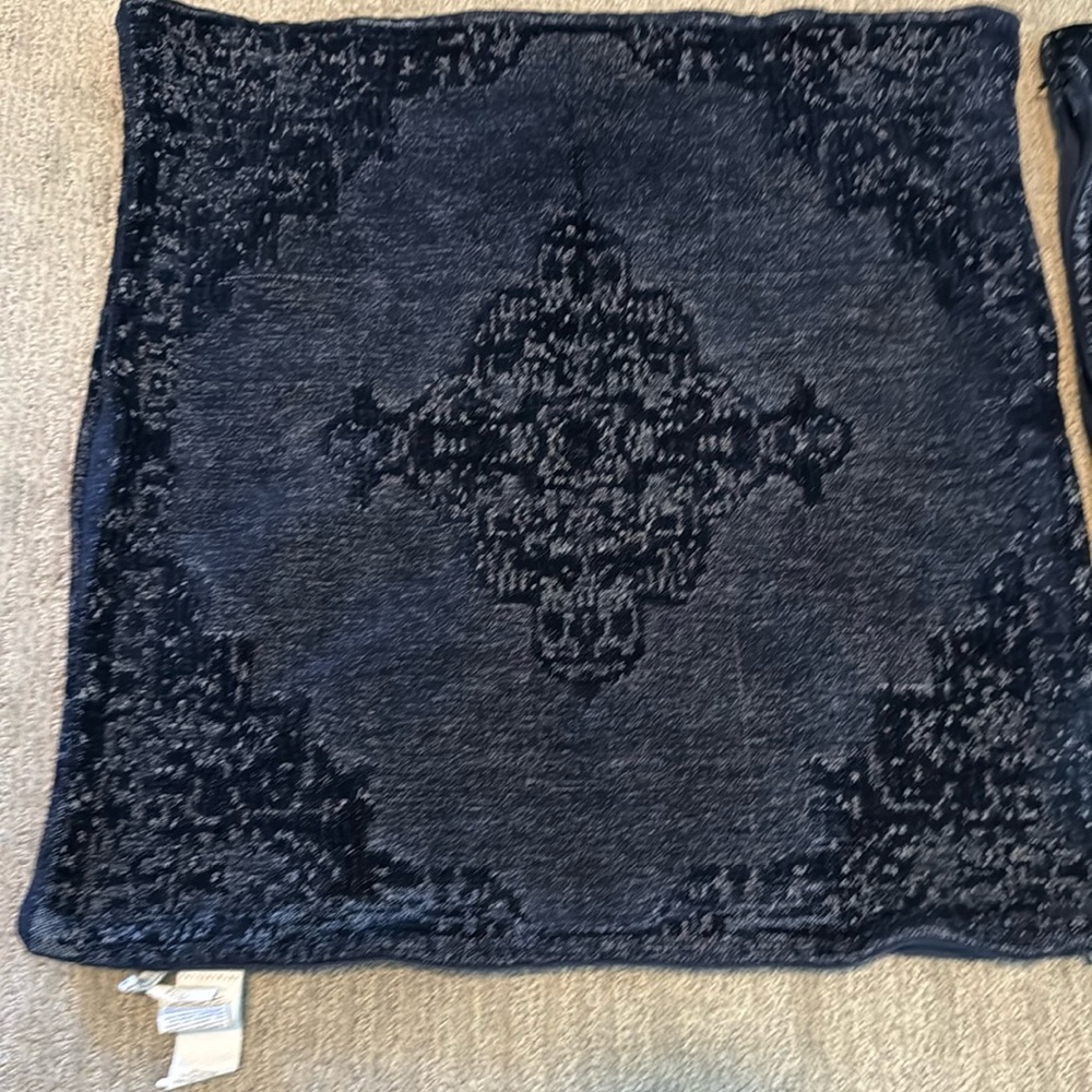 2 pottery barn pillow covers